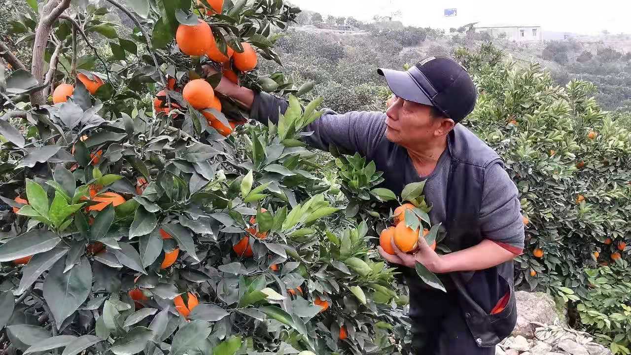 尊龙凯时人生就博·(中国)官网