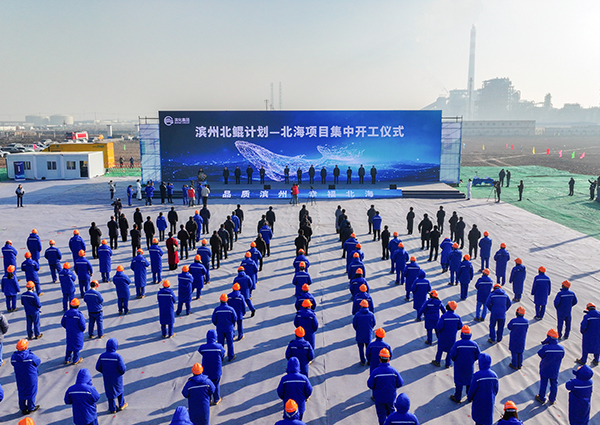 尊龙凯时人生就博·(中国)官网
